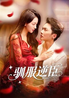 免费观看78视频的入口